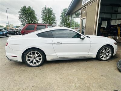 2015 Ford Mustang EcoBoost   - Photo 4 - Kansas City, MO 64131