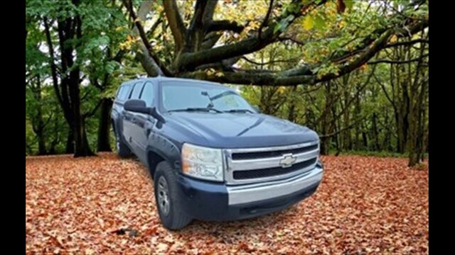 2008 Chevrolet Silverado 1500 LT - Photo 4 - Clinton Townshi, MI 48035