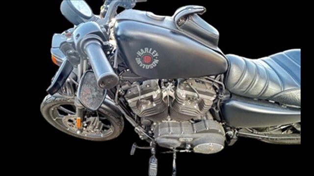 2020 Harley-Davidson Sportster - Photo 4 - Clinton Townshi, MI 48035