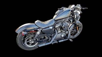 2020 Harley-Davidson Sportster - Photo 3 - Clinton Townshi, MI 48035