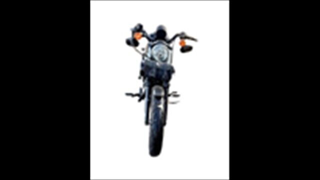 2020 Harley-Davidson Sportster - Photo 11 - Clinton Townshi, MI 48035