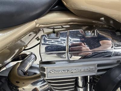 2003 Harley-Davidson Road King Screamin Eagle FLHRSEI2 - Photo 8 - Bullhead City, AZ 86442