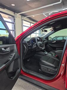 2025 Ford Escape ST-Line - Photo 10 - Bullhead City, AZ 86442