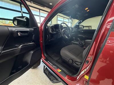 2019 Toyota Tacoma TRD Off-Road - Photo 7 - Bullhead City, AZ 86442