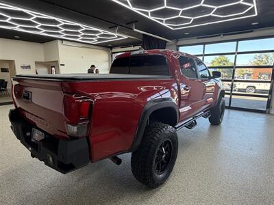2019 Toyota Tacoma TRD Off-Road - Photo 9 - Bullhead City, AZ 86442
