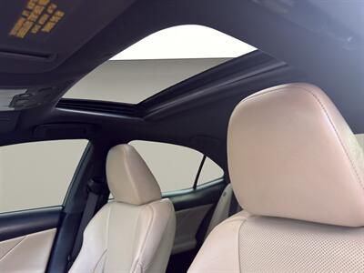 2019 Lexus IS 300 300 F Sport AWD - Photo 25 - Warrington, PA 18976