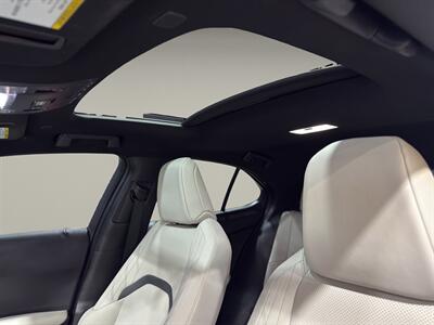 2023 Lexus UX 250h F SPORT Design   - Photo 24 - Warrington, PA 18976