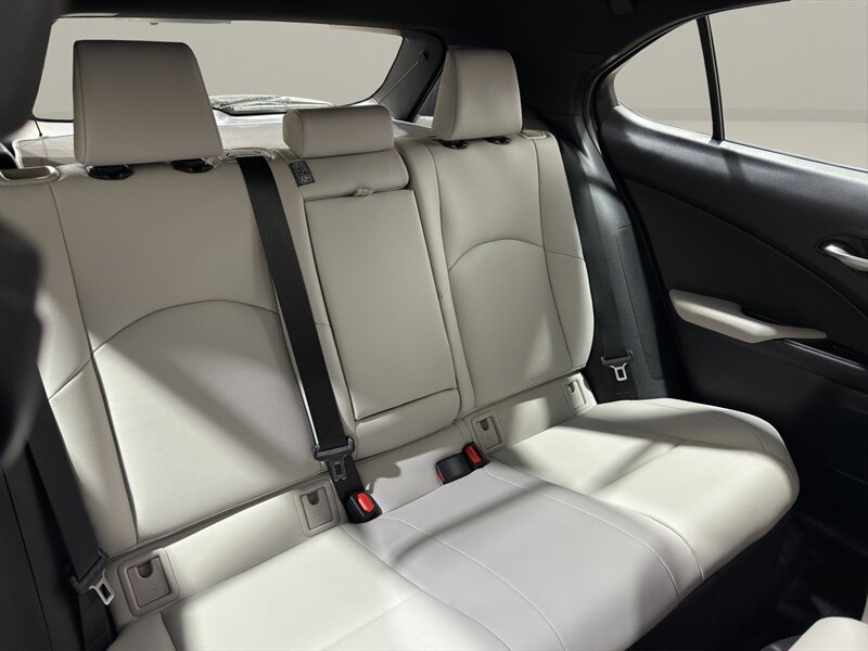 2020 Lexus UX 250h - Photo 16 - Warrington, PA 18976