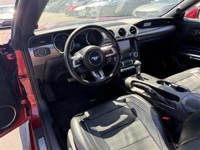 2015 Ford Mustang EcoBoost - 50 Years Edition - Photo 19 - Los Angeles, CA 90065