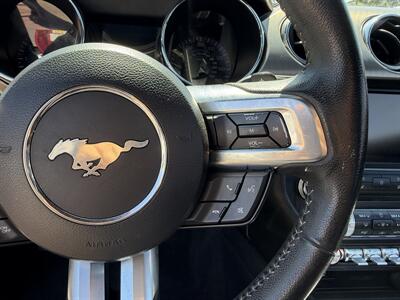 2015 Ford Mustang EcoBoost - 50 Years Edition - Photo 15 - Los Angeles, CA 90065