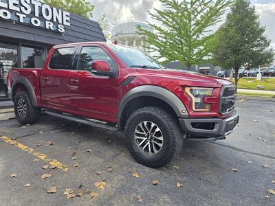 2019 Ford F-150 Raptor - Photo 4 - Downers Grove, IL 60515