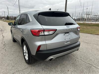 2021 Ford Escape Hybrid SE   - Photo 6 - Indianapolis, IN 46234