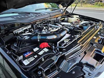 2017 Ford F-350 Super Duty Platinum Diesel FX4 Ultimate Package - Photo 16 - Eugene, OR 97403