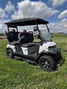 2024 DENAGO &laquo;model&raquo;   - Photo 4 - Cicero, IN 46034