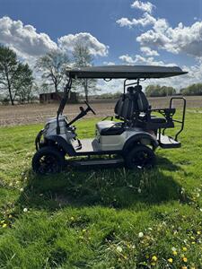 2025 GORILLA 4L   - Photo 9 - Cicero, IN 46034