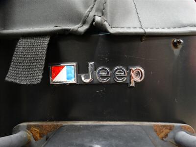 1980 Jeep Renegade - Photo 88 - Scottsburg, IN 47170