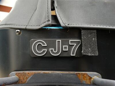 1980 Jeep Renegade - Photo 89 - Scottsburg, IN 47170