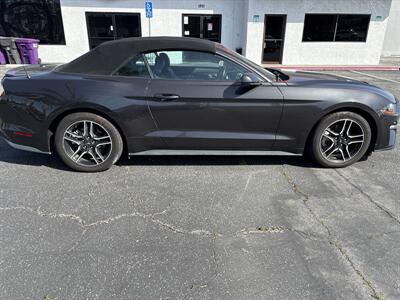 2023 Ford Mustang EcoBoost   - Photo 2 - Long Beach, CA 90806