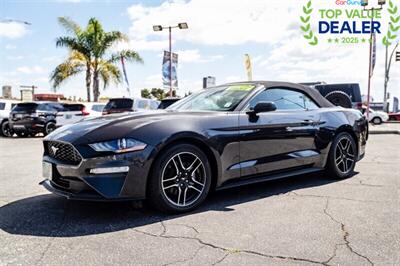 2023 Ford Mustang EcoBoost   - Photo 1 - Long Beach, CA 90806