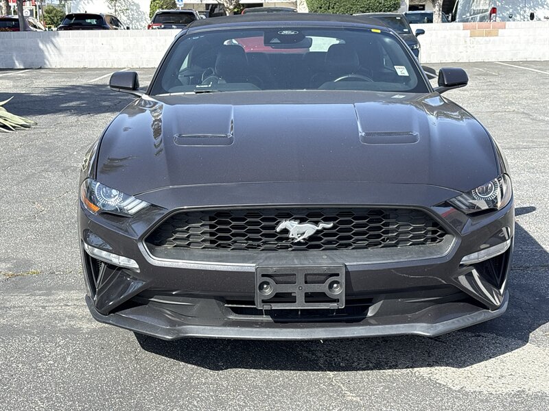 2023 Ford Mustang EcoBoost  