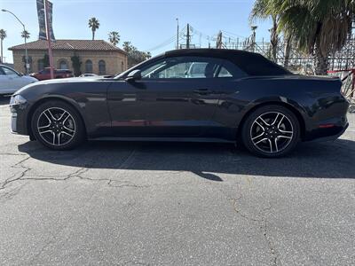 2023 Ford Mustang EcoBoost   - Photo 4 - Long Beach, CA 90806