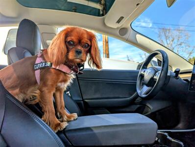 2018 Tesla Model 3 Long Range - Photo 13 - Lake Elsinore, CA 92530