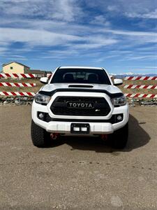 2017 Toyota Tacoma SR5 V6   - Photo 3 - Frederick, CO 80504