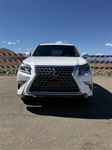 2020 Lexus GX 460 - Photo 8 - Frederick, CO 80504