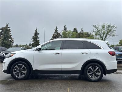 2019 Kia Sorento EX Premium V6 *No Accidents*One Owner*   - Photo 6 - Edmonton, AB T6B 0B7