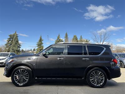 2019 INFINITI QX80 Luxe   - Photo 6 - Edmonton, AB T6B 0B7