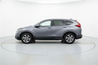 2019 Honda CR-V EX   - Photo 6 - Cape Coral, FL 33909
