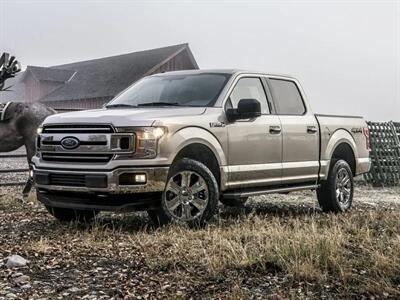 2020 Ford F-150 XL Truck